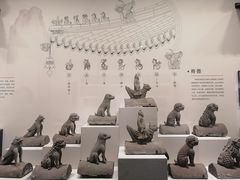 -四川大学博物馆
