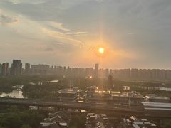 -洋湖国家湿地公园