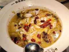 -酸渡·老坛酸菜鱼·现炒下饭菜(港惠新天地店)