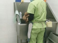 -芭比堂动物医院广州顽皮分院