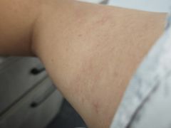 -重庆海昌加勒比海水世界