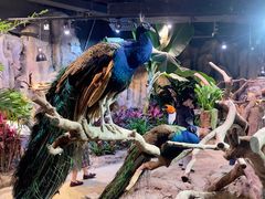 -正佳雨林生态植物园