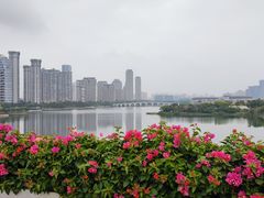 -厦门园林博览苑