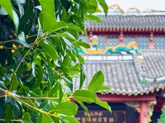 -四川大学(华西校区)