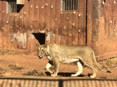 -昆明动物园