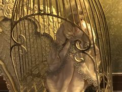 -【朵云轩艺术中心】博洛尼亚插画展·中国巡展·上海站