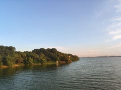 -瑶湖郊野森林公园