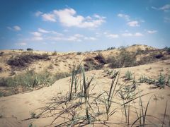 -黄沙古渡原生态旅游区
