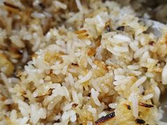 -红星光发煲仔饭(文海店)