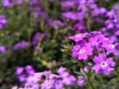 -闽江夜游台江旅游码头