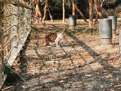 -苏州河梦清园环保主题公园