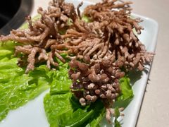 -浩爷羊蝎子火锅(双榆树店)