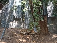 -五龙山野生动物王国