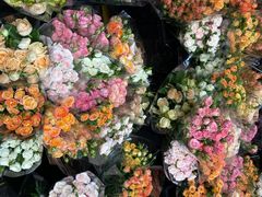 -循礼门鲜花花市(武汉循礼门店)