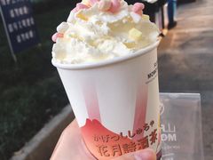 -伏小桃(明瓦廊店)
