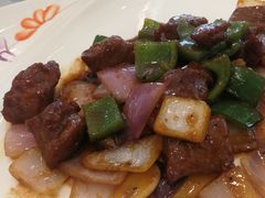 -骏莱海鲜鱼港(五角场店)