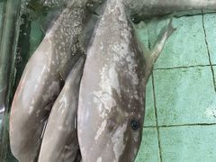 -寻味顺德·南记酒家·传统顺德菜·鱼生(广源路店)