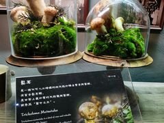 -原牛道·潮汕围炉火锅(讯美店)