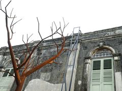 -槟城街头艺术街区