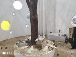 -Zoolung Zoolung动物主题公园(海信广场店)