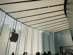 -Apple零售店(新街口店)