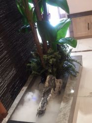 -芳朵美容养生SPA