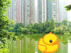 -重庆彩云湖湿地公园