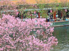 -宝墨园景区