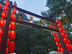 -蜀九香火锅(彩虹店)