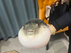 -鲐赏河豚(长寿店)