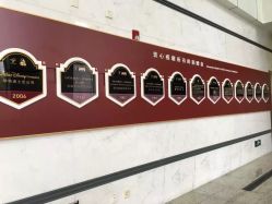 -上海交通大学医学院附属上海儿童医学中心(陆家嘴总院区)