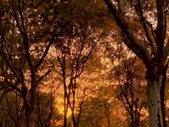 -上海山野camping·户外天幕烧烤·团建拓展营地