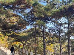 -天津盘山风景名胜区