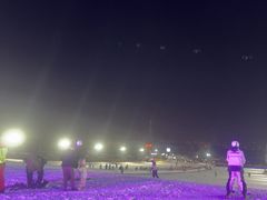 -采薇庄园四季滑雪场