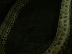 -大理地热国