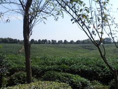 -南京市江宁方山
