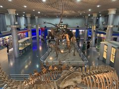 -国家自然博物馆