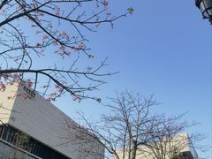 -珠海市博物馆