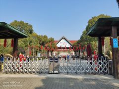 -上海海湾国家森林公园