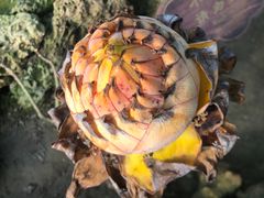 -南通洲际绿博园