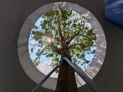 -观澜湖生态运动公社
