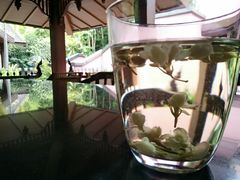-西双版纳洲际度假酒店兰吧