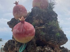 -小普陀