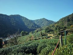 -春娟茶楼·地道农家菜(梅家坞店)