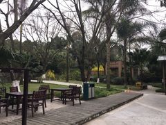 -鱼凫国都大酒店温泉