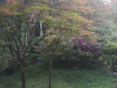 -阳光山水江湖菜馆(西山龙门店)