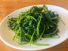 炒番薯叶-钟叔烩鸡