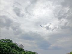 -金山公园