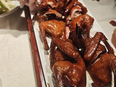 -大鸽饭(动物园店)