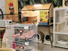 -平行世界·猫咖(首经贸店)